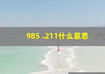 985 .211什么意思